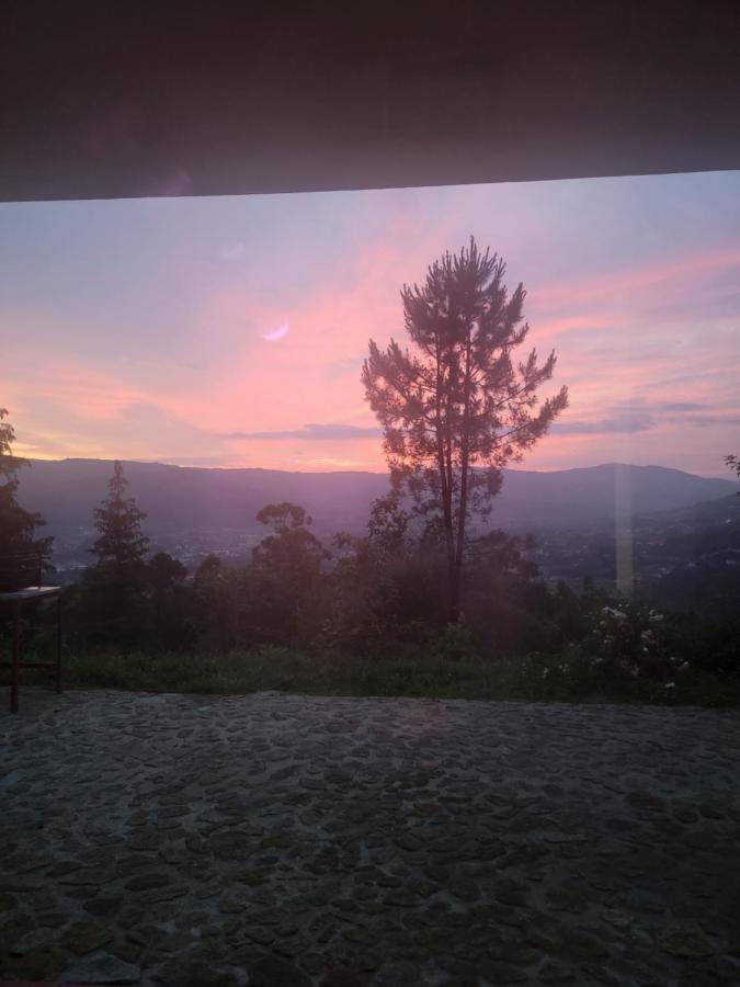 アルコス・デ・ヴァルデヴェス Quinta Da Picoutaヴィラ エクステリア 写真